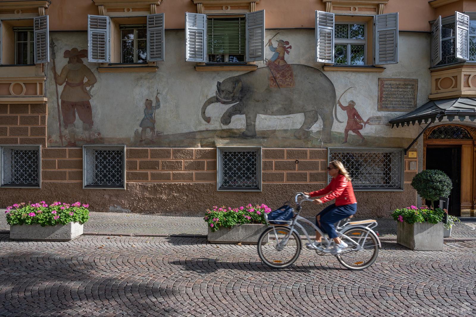 Image of Hotel Elephant in Brixen / Bressanone by Luka Esenko