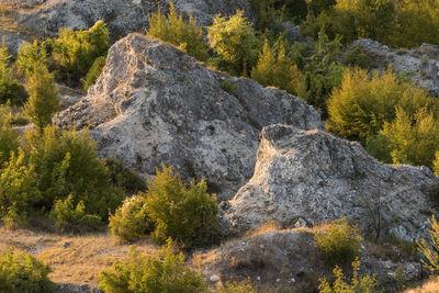 Bulgaria pictures - Ilindentsi Rocks