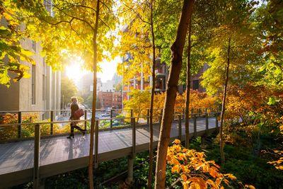 pictures of New York City - The High Line, W 25th Street