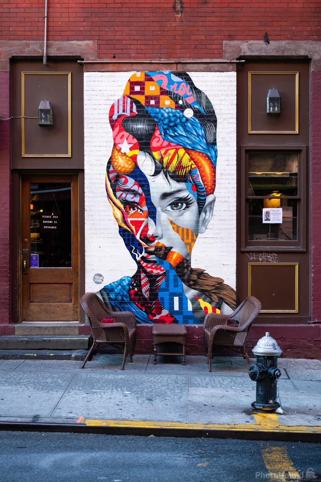Image of Audrey of Mulberry Mural by VOJTa Herout