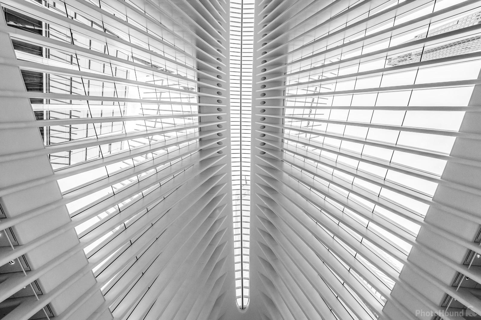 Image of The Oculus (Interior) by VOJTa Herout