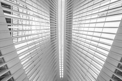 The ceiling of Oculus.