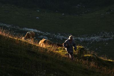 photos of Slovenia - Velika Planina - Shepherds' Huts