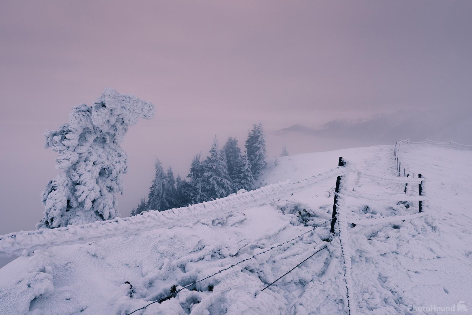 Image of Velika Planina - The Ridge by Luka Esenko