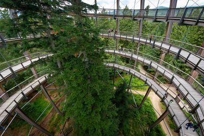 Treetop walk - the observation tower as seen from inside