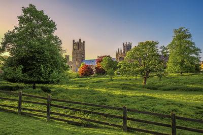 Photo of Ely Cathedral from Cherry Hill Park - Ely Cathedral from Cherry Hill Park
