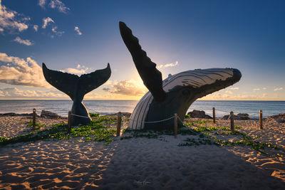 Turks Islands photography spots - Beached Whale Bar