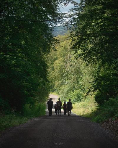 Neath Port Talbot Principle Area photo spots - Resolven Woodland Walk