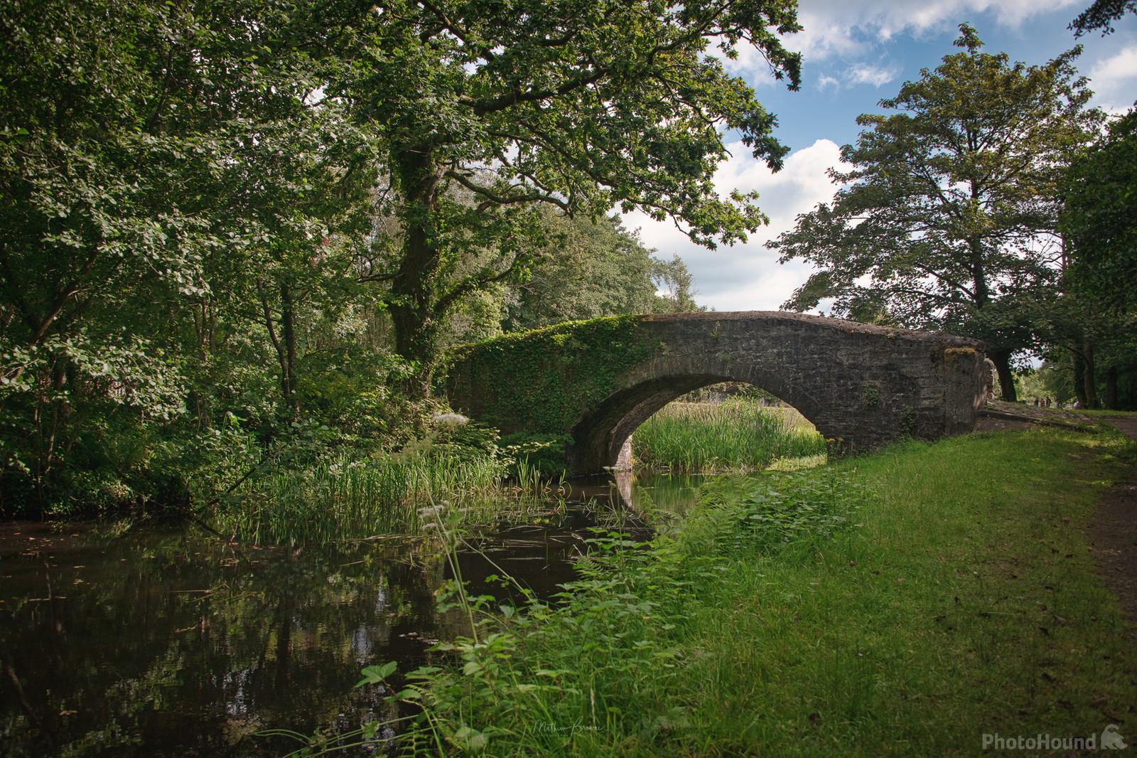 Image of Neath Canal by Mathew Browne