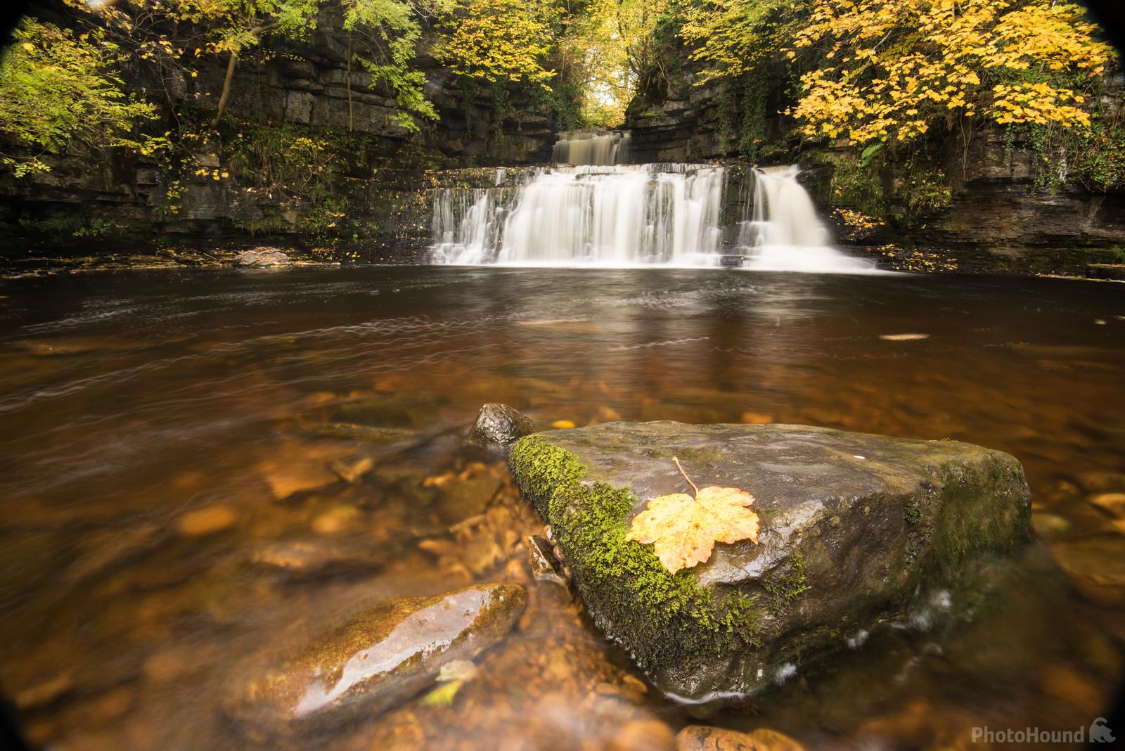 Image of Cotter Force by Richard Lizzimore
