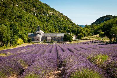 Provence Alpes Cote D Azur photography locations - Sénanque Abbey