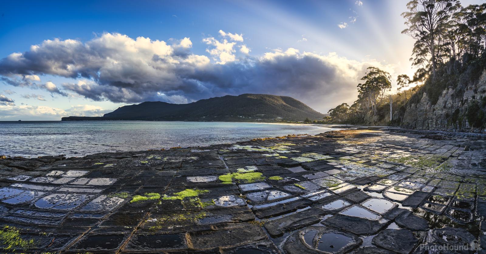 Image of Tessellated Pavement, Tasmania by Christian Klaus