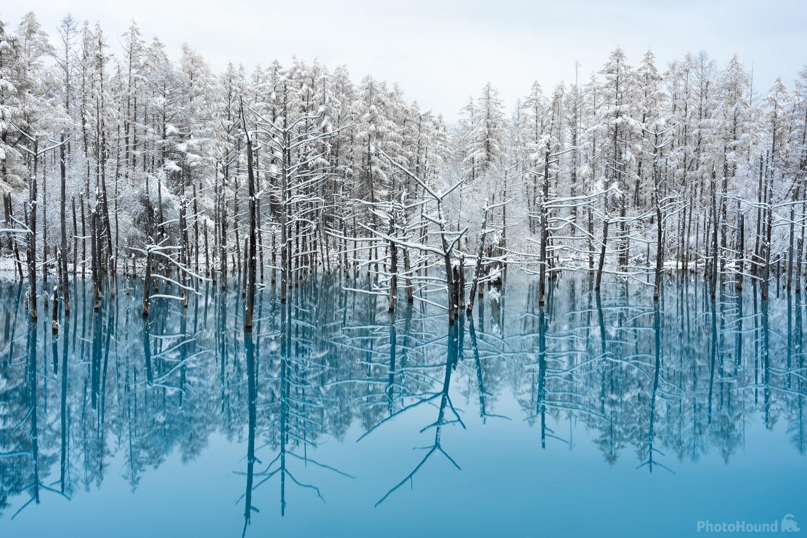 Image of Blue Pond by Colette English