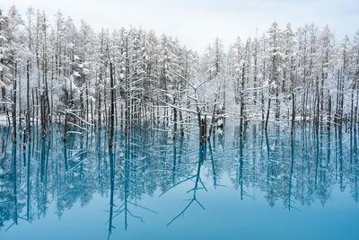 Hokkaido photo locations - Blue Pond