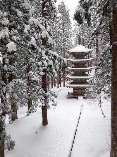 Japan instagram spots - Five-Storied Pagoda Of Mount Haguro