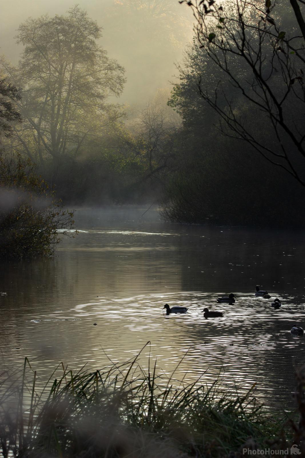 Image of Arundel Park / Swanbourne Lake by Andy Scott
