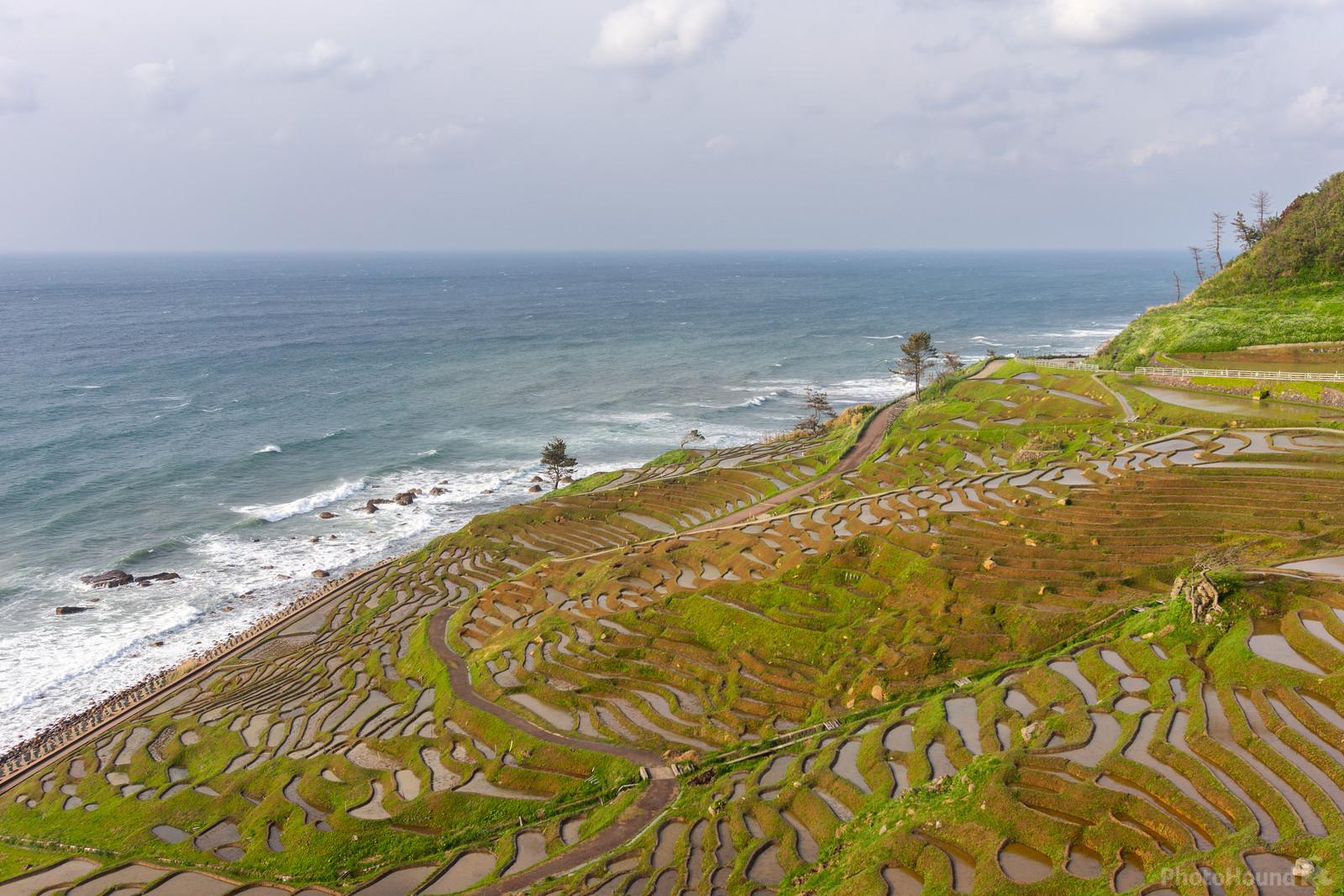 Image of Shiroyone Senmaida Rice Terraces by Colette English