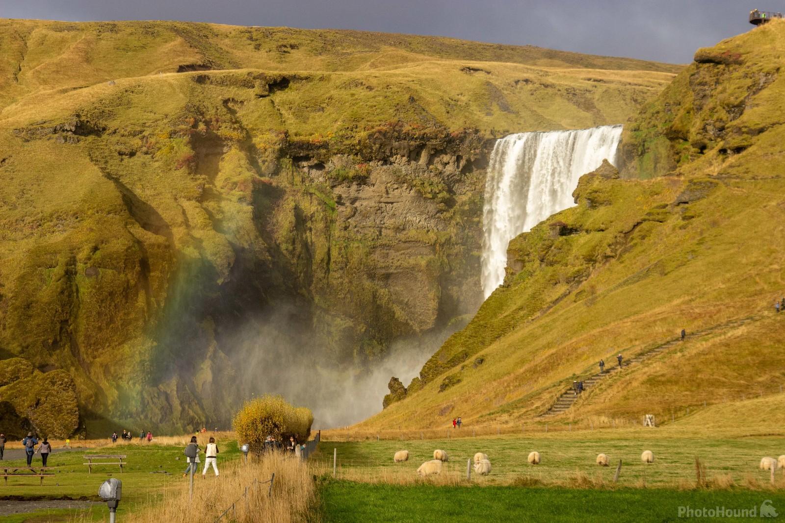 Image of Skógafoss Waterfall by Andy Scott