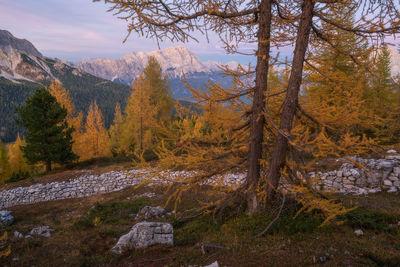 photos of The Dolomites - Cinque Torri - WWI Trenches