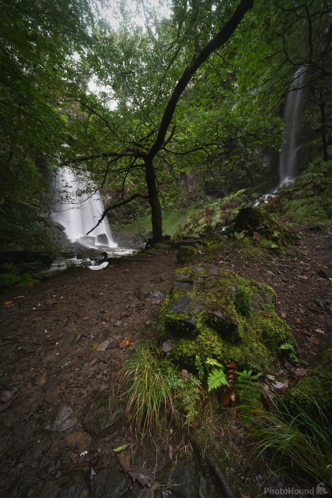 Image of Melincourt Falls by Mathew Browne