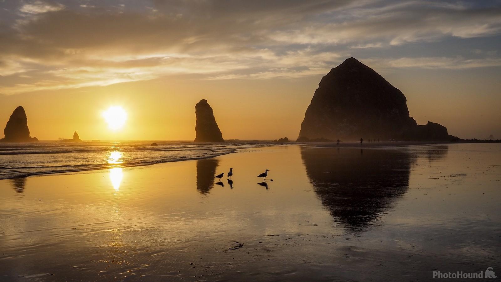 Image of Haystack Rock – Cannon Beach by Richard Brown