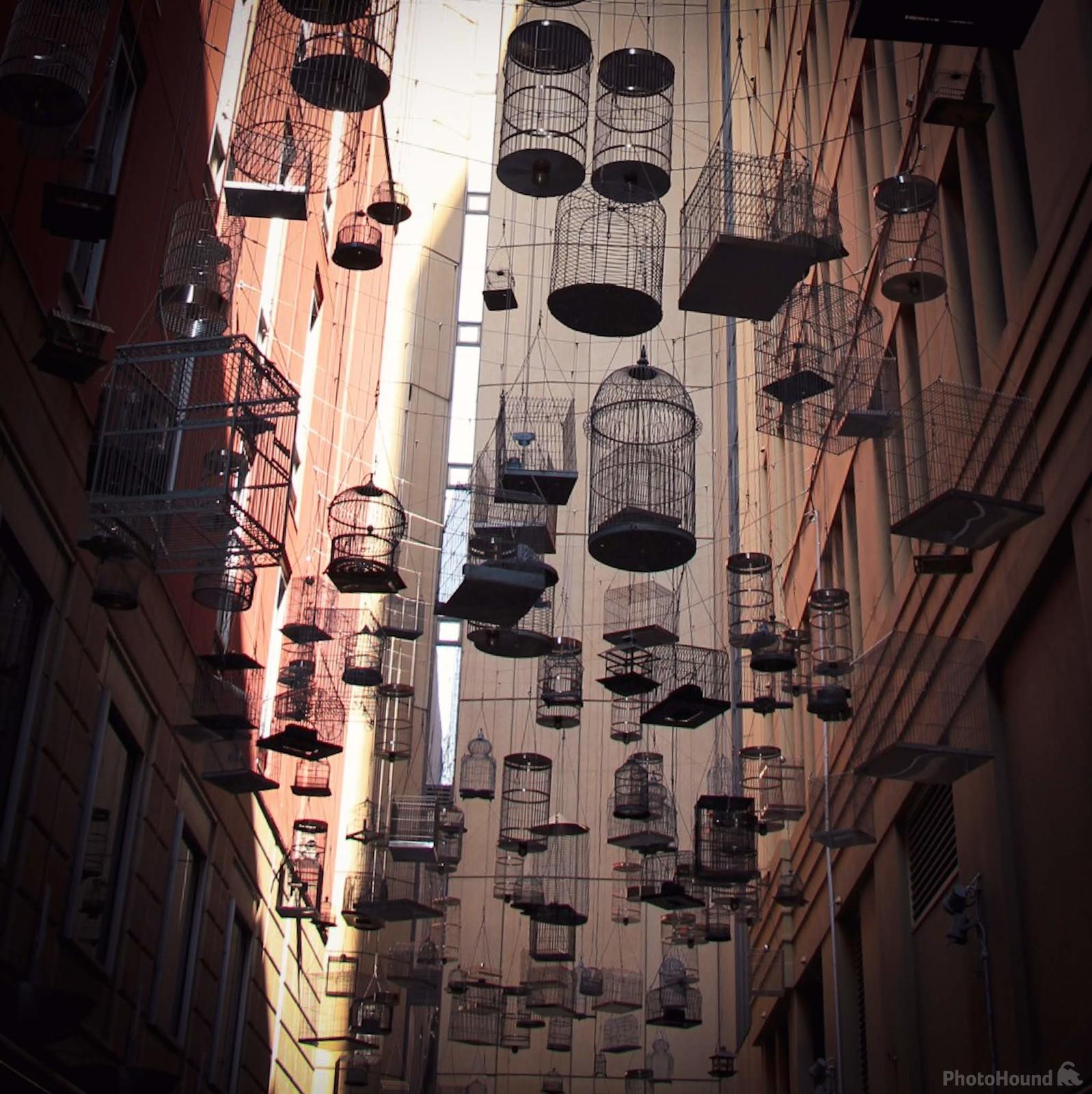Image of Angel Place Birdcages by James Stevens