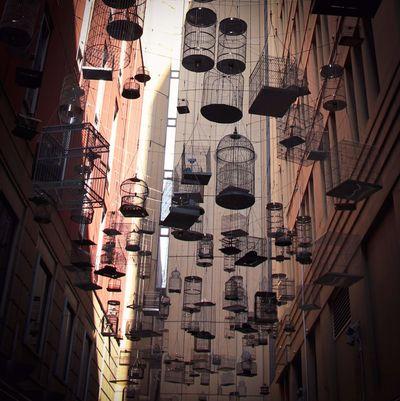 photography spots in Australia - Angel Place Birdcages