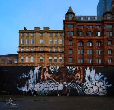 Scotland instagram locations - Glasgow Mural Trail - Tiger