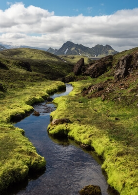 Iceland images - Laugavegur moss stream