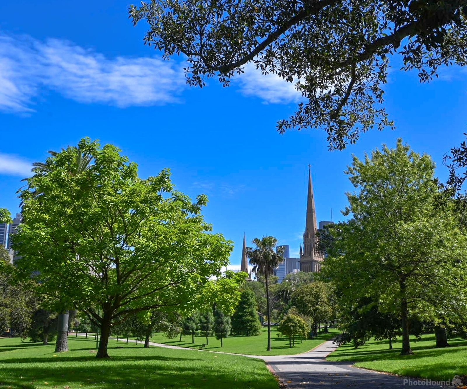 Image of St Patrick\'s Cathedral from Fitzroy Gardens by Heather