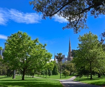 photo spots in Australia - St Patrick's Cathedral from Fitzroy Gardens
