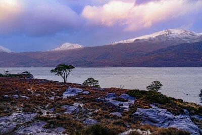 Late afternoon view towards the northern slope of Loch Maree, just off the A832