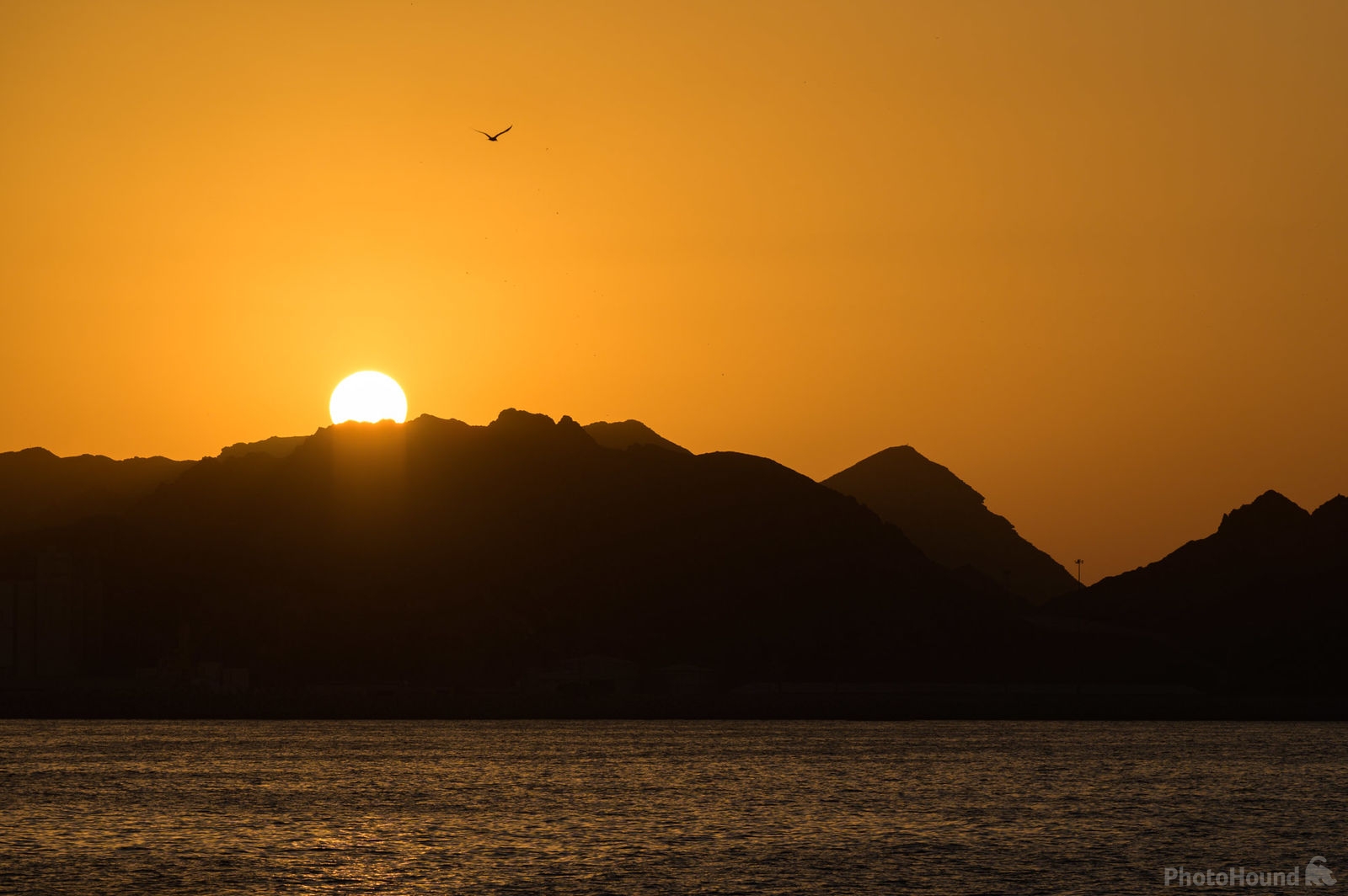 Image of Sunset Cruise in Muscat by Luka Esenko
