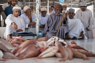 images of Oman - Fish Market in Barka