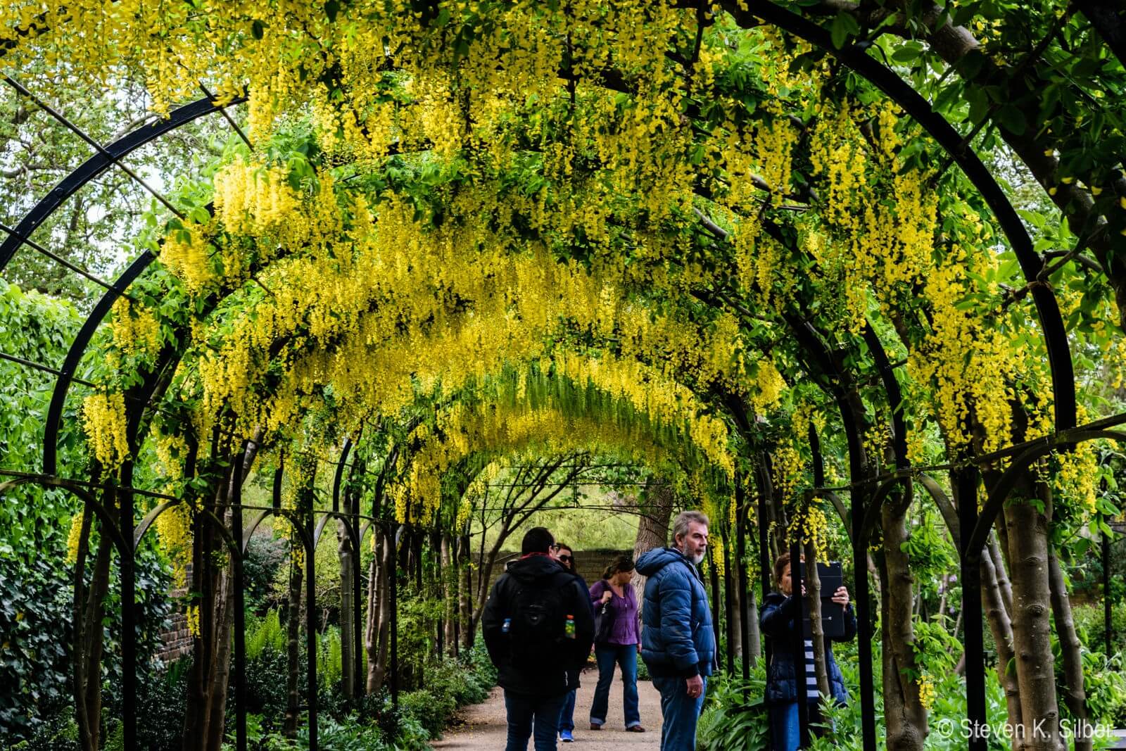 Image of Royal Botanic Gardens Kew by Steve Silber