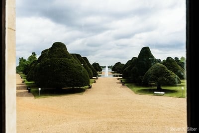 Yew trees along the walks of the Great Fountain Garden.