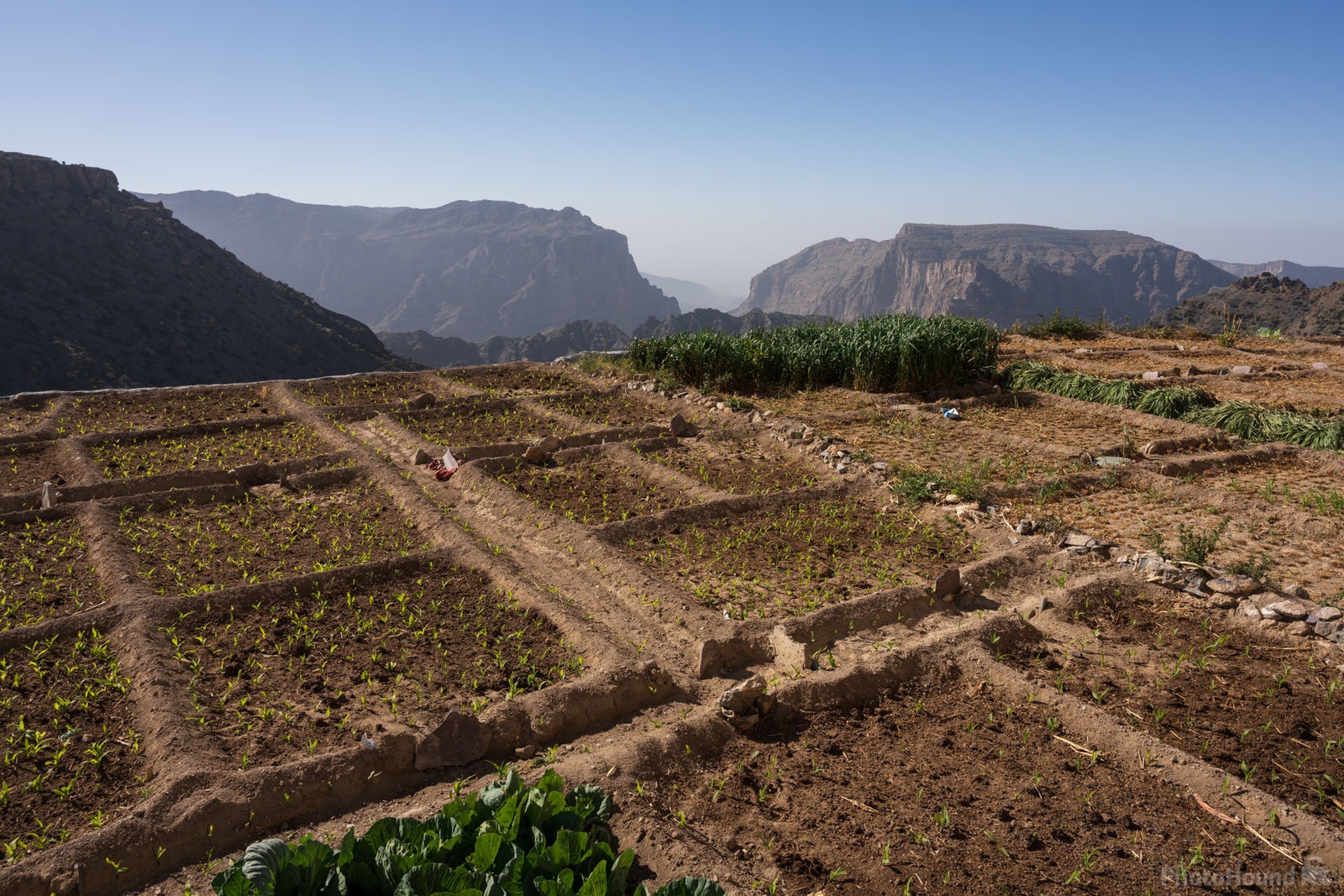 Image of Terraced Villages, Jebel Akhdar by Luka Esenko