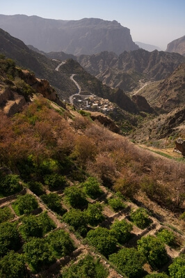 Oman photos - Terraced Villages, Jebel Akhdar