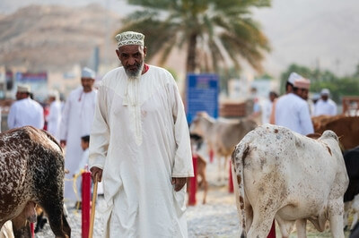 pictures of Oman - The Goat Market in Nizwa, Oman