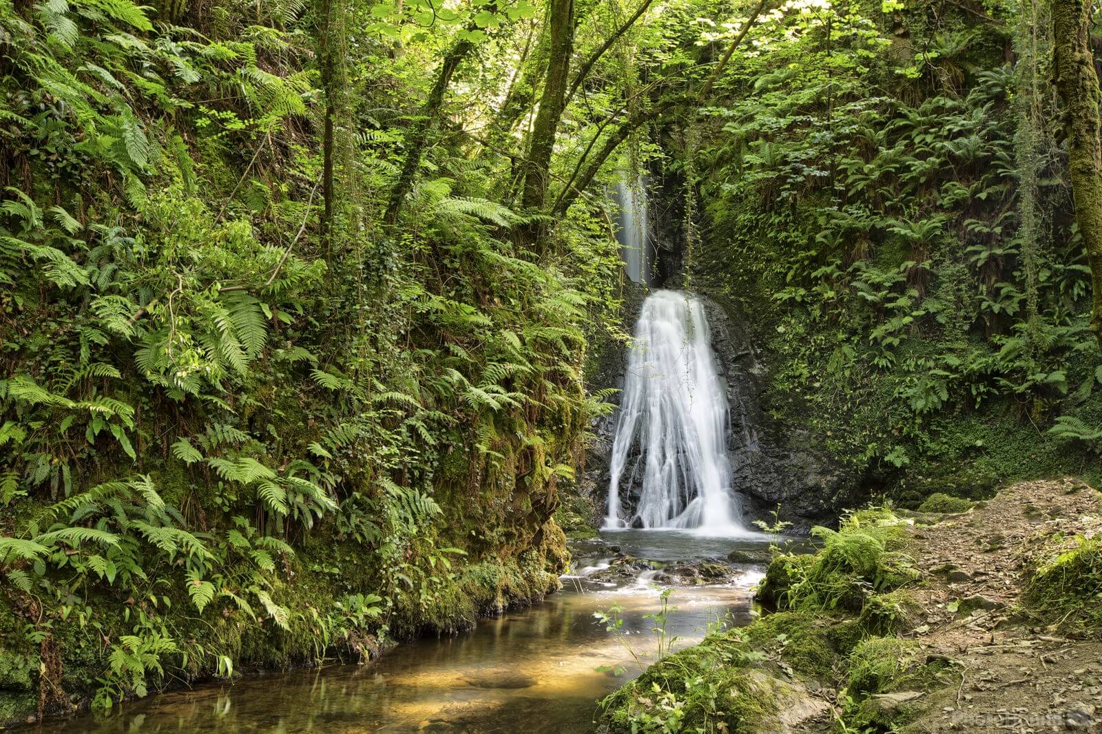 Image of Spooyt Vane Waterfall by David Silvester