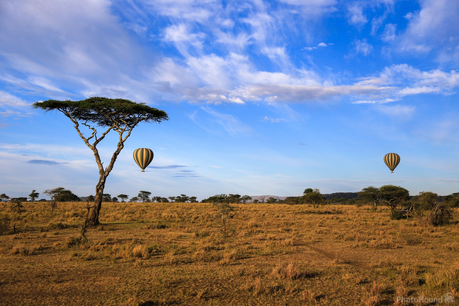 Image of Hot Air Balloons over Serengeti NP by Saša Jamšek