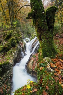images of Triglav National Park - Water Hurst of Šunik 