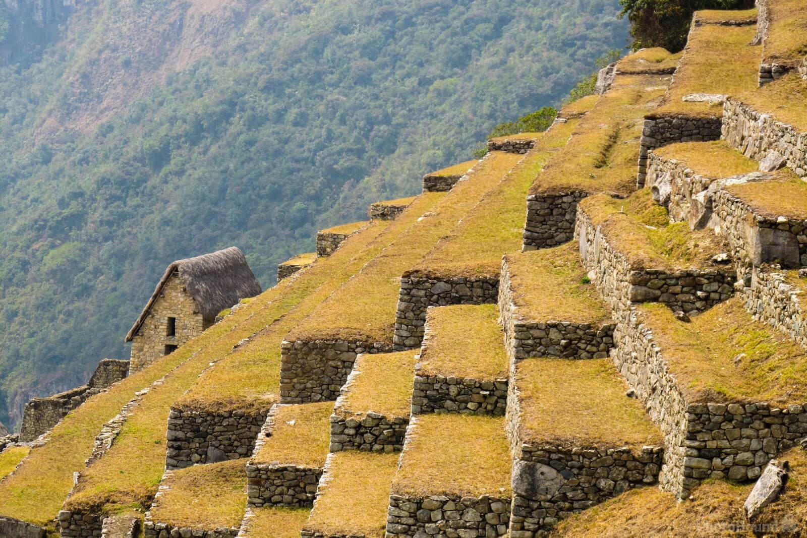 Image of Machu Picchu, Peru by Saša Jamšek