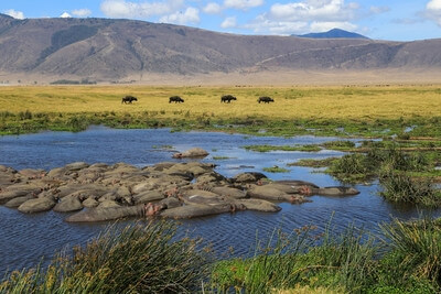 Arusha Region instagram spots - Ngorongoro Caldera