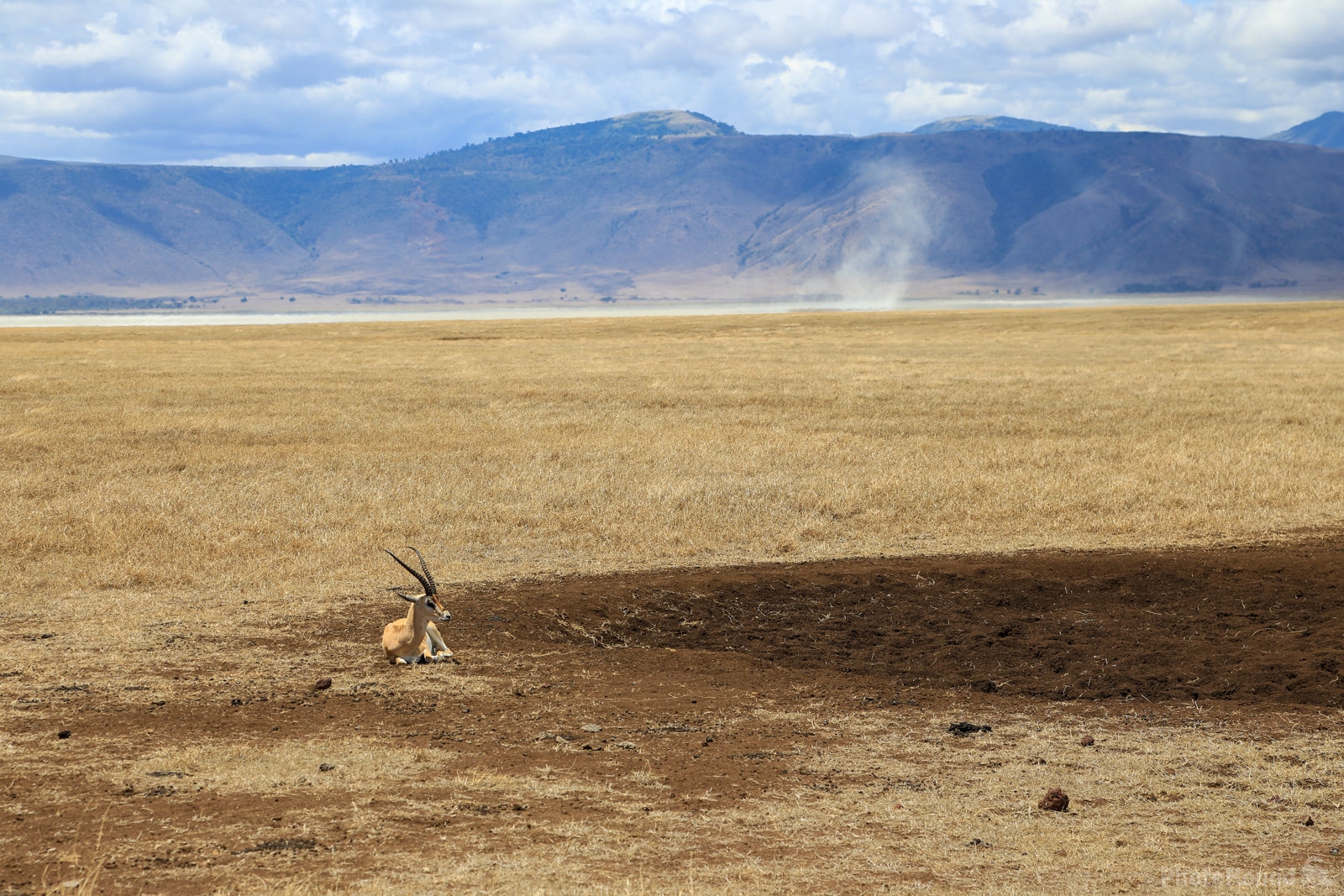 Image of Ngorongoro Caldera by Saša Jamšek