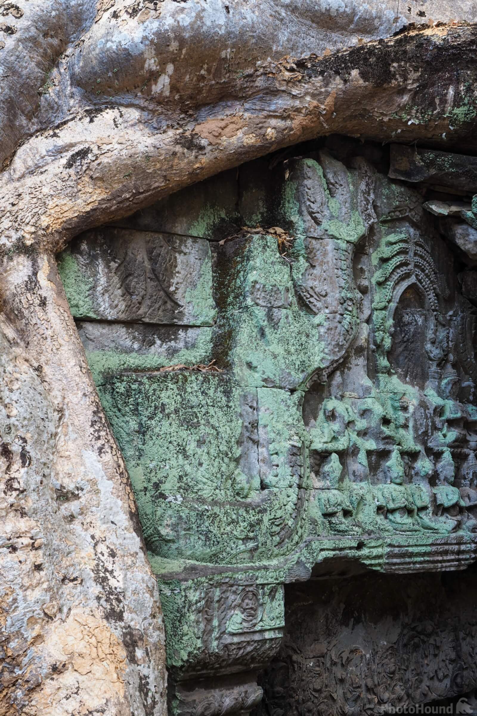 Image of Ta Prohm Temple, Cambodia by Saša Jamšek