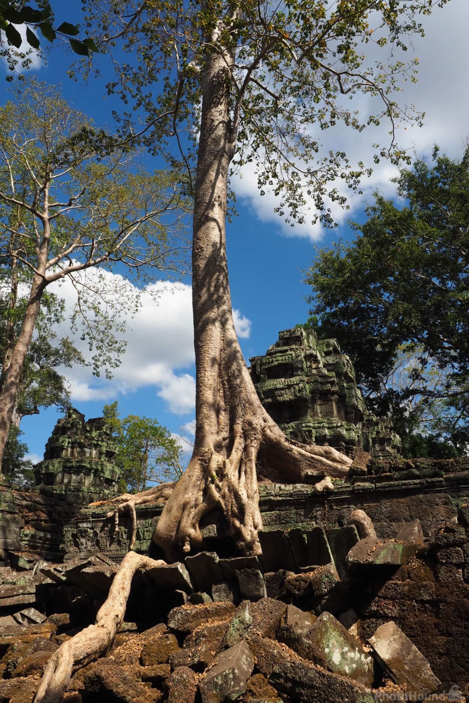 Image of Ta Prohm Temple, Cambodia by Saša Jamšek
