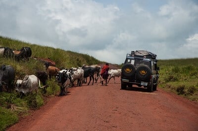 Drive to Ngorongoro Caldera