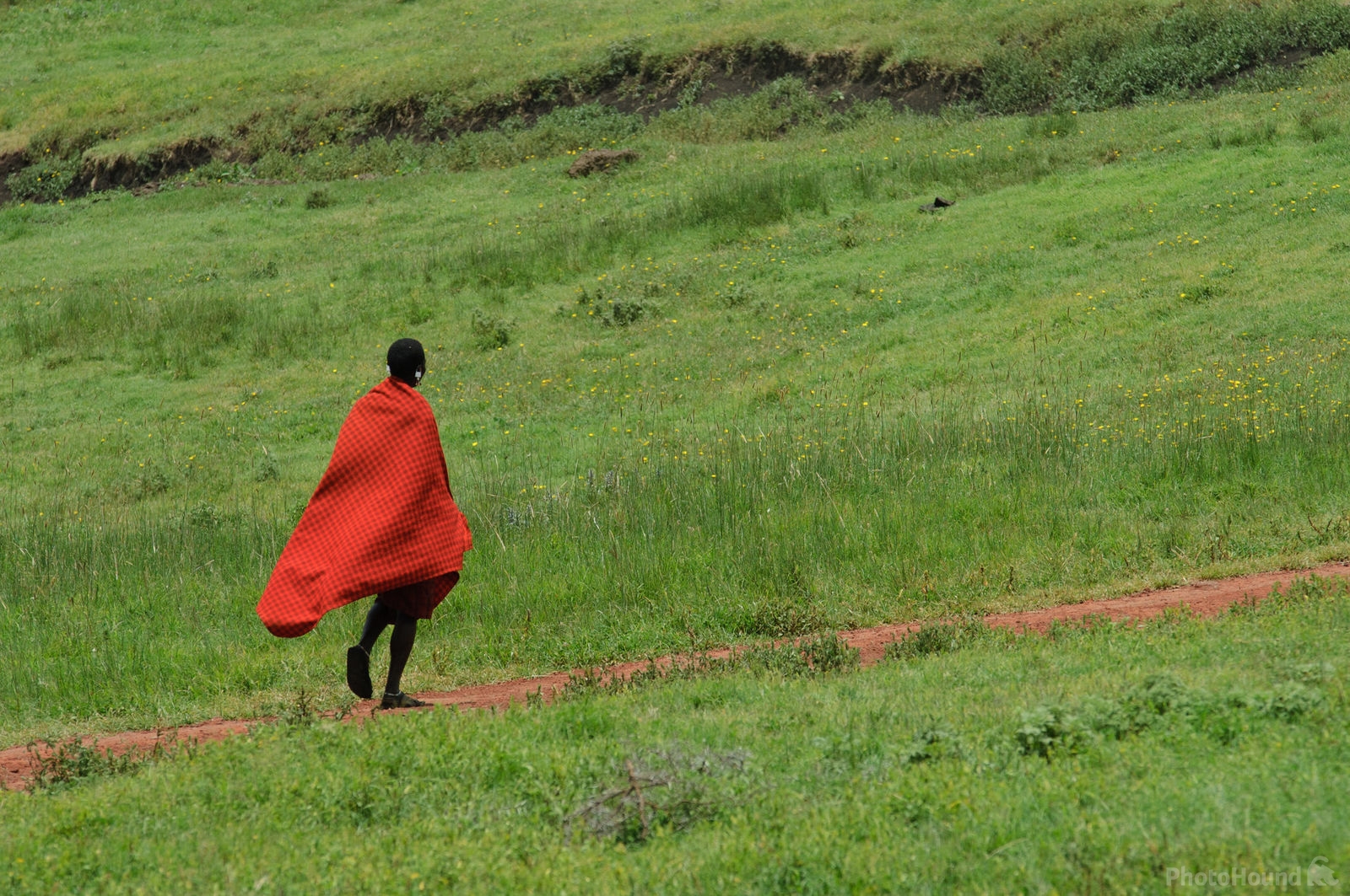 Image of Ngorongoro Caldera by Luka Esenko