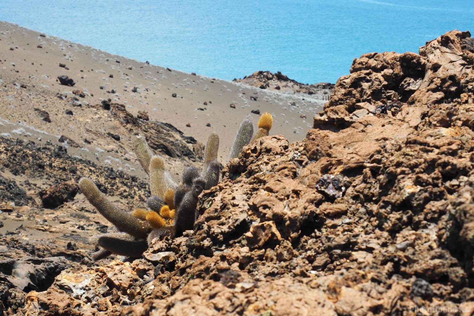 Image of Pinnacle Rock, Galapagos by Saša Jamšek